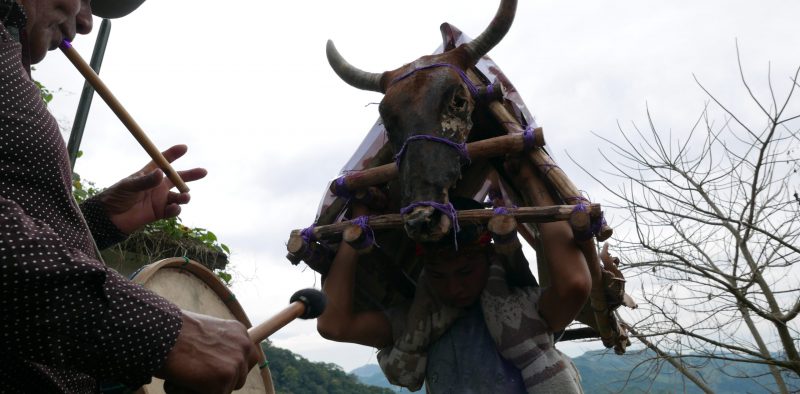 San Gregorio (Hgo)_Carnaval_el toro con el músico tocando flauta y tambor.Copia de 40.